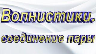 Волнистые попугаи, соединение пары ч.1