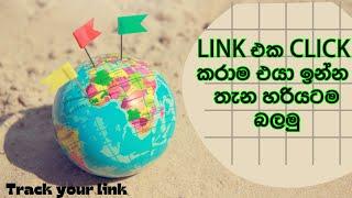 The Ultimate Tool for Tracking Website Visitors | GRBIFY explain in sinhala | LinX LK