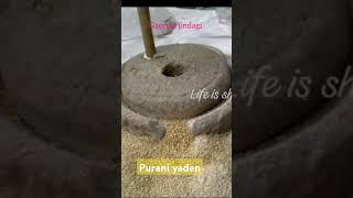 jamane mein badlav#sab bhag Gaya#shorts#viral#shortsviral #nature #jamane mein badlav