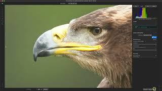 Get Amazing Lightroom Noise Reduction with this Tutorial