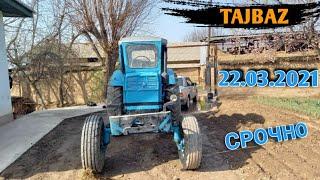 СРОЧНО ТРАКТОР СОТИЛАДИ АРЗОН НАРХДА МТЗ Т40 ТРАКТОР НАХАДУ #tajbaz