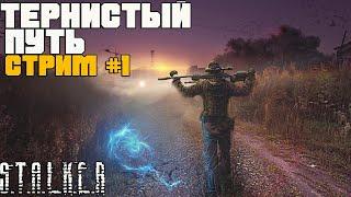 STALKER ТЕРНИСТЫЙ ПУТЬ ПРОХОЖДЕНИЕ  ЗНАКОМИМСЯ С СЕРИЕЙ МОДОВ  СТРИМ #1