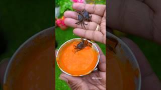 Tiny Crab  Recipe   #shorts #shortsvideo #youtubeshorts #minicocinar