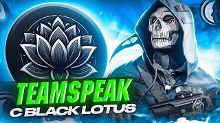 ТИМСПИК С КИБЕРСПОРТСМЕНАМИ ИЗ BLACK LOTUS В CALL OF DUTY MOBILE