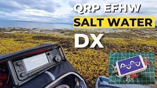 Saltwater DX on a QRP End Fed Half Wave Antenna - 6000 miles on 10w SSB! #hamradio #hamr