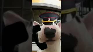 геодезическая 12