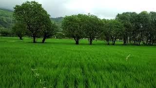 My village sceens 