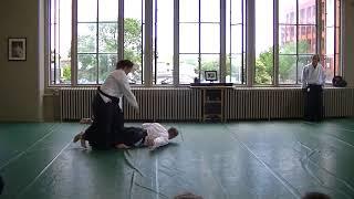 Candy's Demonstration - Sensei in Rochester 2017