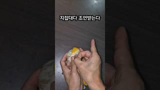 어려운레몬요리#지잡대