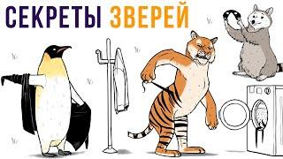 Комиксы. Секреты животных) | Мемозг #358