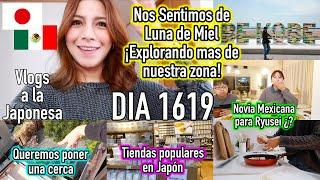 We Want to Put Up a Fence + Learn More About the Area  Japan - Ruthi San  04-17-25