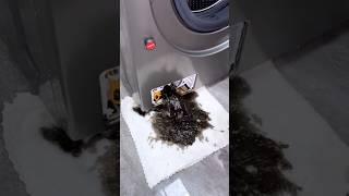 How To Use The O’Cedar RinseClean Spin Mop The Right Way