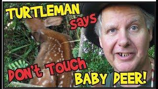 Turtleman says, "Don't touch baby deer."