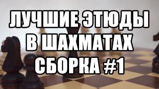 Лучшие шахматные этюды. Сборка №1. Шахматы этюды. Шахматные окончания. Шахматная композиция.