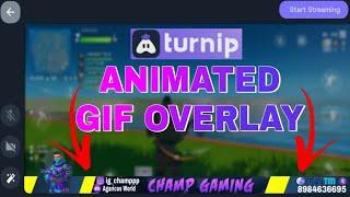 How to make animated overlay for turnip | how to add gif overlay in turnip