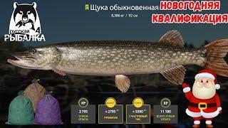 РАБОЧИЕ ТОЧКИ НА КУОРИ РАДУЖНАЯ ФОРЕЛЬ ГОЛЕЦ РУССКАЯ РЫБАЛКА 4 РР4