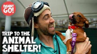 Animal Shelter Field Trip  | Dog Videos For Kids | Danny Go!