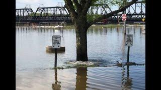 Video: Watch fish swim in the Quad-City Times parking lot