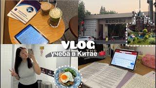 VLOG: студенческие будни, учёба в Китае  Shanghai University