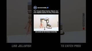 This Tentacle Robot Catches Objects Just Like Jellyfish Catches It's Prey. Know Why  #robot #shorts