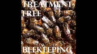 71: Low Management Beekeeping with Mitch Baker, Treatment-Free Beekeeping Podcast