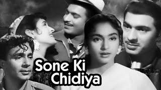 Sone Ki Chidiya | Full Movie | सोने की चिड़िया |  Nutan | Balraj Sahni | Old Classic Hindi Movie