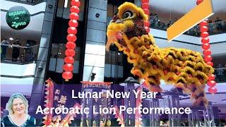 Lunar New Year 2022 Opens With the Chinatown Lion Dancers in Sydney