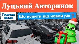 Луцький Авторинок‼️ Грудень 2024. Що купити  Огляд цін ‼️Автопідбір #автомобили #автобазар #авто