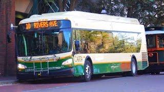 CARTA: Bus Observations - New Flyer D35LFRs & XDE40s (January 2015)