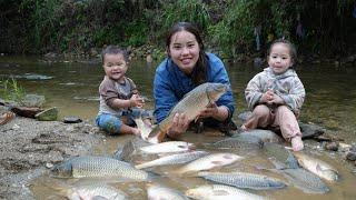 How to harvest giant fish to sell at the market with your little daughter