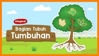 Belajar Kosakata: Mengenal Bagian-Bagian Tumbuhan dan Fungsinya - Yufid Kids
