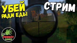  DayZ СТРИМ! серия 6 "УБЕЙ РАДИ ЕДЫ!" (сервер TRIPLE SSS HARD PVP ссылка в описании)