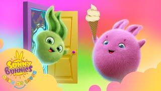 Sunny Bunnies Make Me Laugh - WHO IS THERE? | NEW SEASON 1 | Kids Cartoons