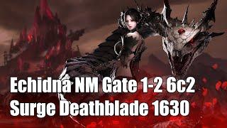 [Lost Ark] Surge Deathblade - Echidna Normal Mode Gate 1/2 6c2 -  1630