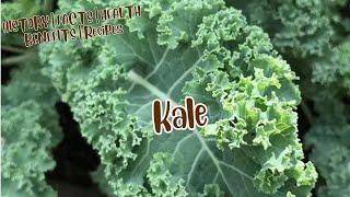 Origin of Kale | HISTORY | Amazing & Interesting FACTS of Kale |HEALTH BENEFITS of Kale| Kale Recipe