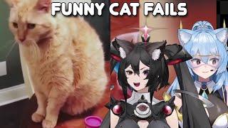 Funny Cat Fails | Funny Cat Compilation FailArmy | SAIN REACTS