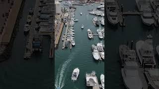 Abril 24 2025 Cabo San Lucas Fishing with Blue Sky Cabo #1 on TripAdvisor