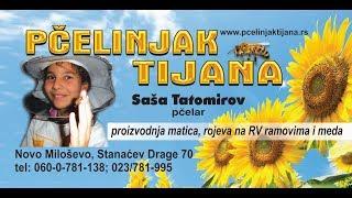 Saša Tatomirov - Online Predavanje: "Moj način rada na profesionalnom pčelinjaku" - 07.11.2018.