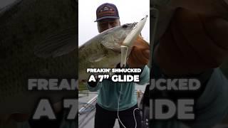 THIS Is Why You Fish BIG Swimbaits! #fishing