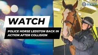 Police Horse Ledston Back in Action after Collision