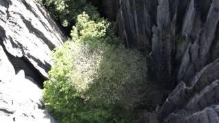 Tsingy Rope Bridge