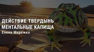 Действие твердынь и ментальные капища | Елена Мережко