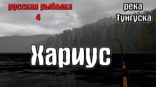 Русская рыбалка 4(рр4/rf4) - река Нижняя Тунгуска. Хариус.