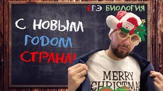 С Новым годом, страна!