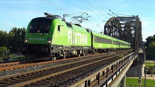 Trains in Frankfurt, Germany - Freight, ICE, Regio & Special Movements