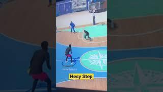 HESY STEP MOVE (tutorial?)