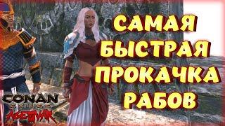 Conan Exiles - САМАЯ БЫСТРАЯ ПРОКАЧКА РАБА С 0 ДО 20 УРОВНЯ В ОБНОВЛЕНИИИ В Age of War Chapter IV