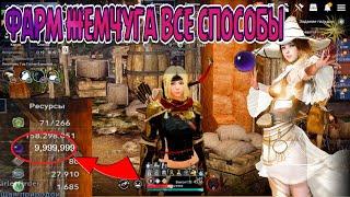  ФАРМИМ ЖЕМЧУГ  ЛЕГКО И ПРОСТО ГАЙД / ВСЕ СПОСОБЫ ДАЖЕ БОЛЬШЕ / Black Desert Mobile 