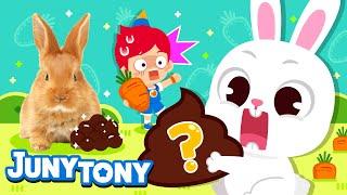  Rabbits Eat Their Poo | Hippity-Hoppity! The Year of the Rabbit | Animal Songs for Kids | JunyTony