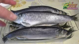Lightly salted herring, spicy salted, according to the recipe from Fisherman DV. 27rus